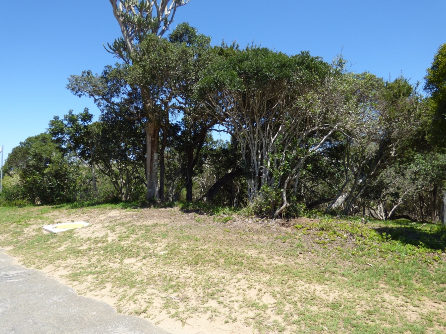 0 Bedroom Property for Sale in Kleinemonde Eastern Cape